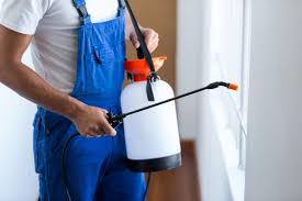 Best Real Estate Pest Inspections  in Locust, NC